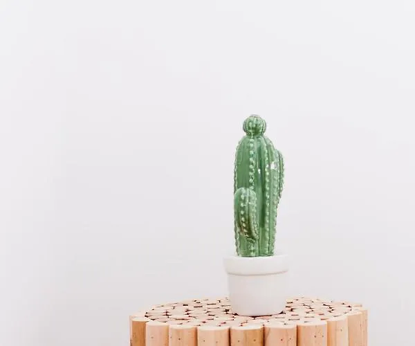 Sunset Boutique Duplex 아파트 칼론제